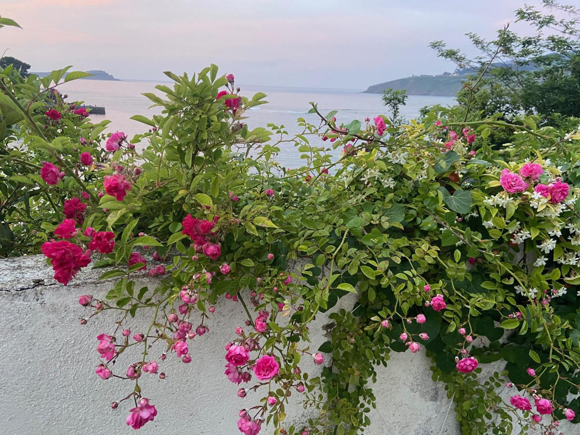 Mundaka Beachfront House Екстериор снимка