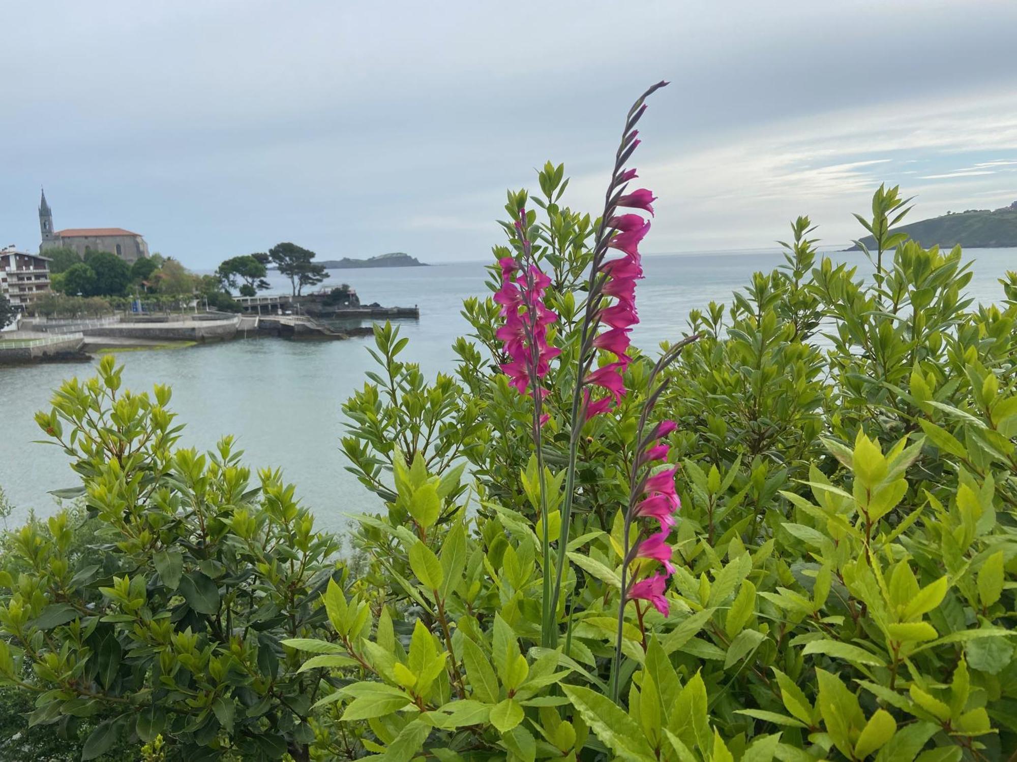 Mundaka Beachfront House Екстериор снимка